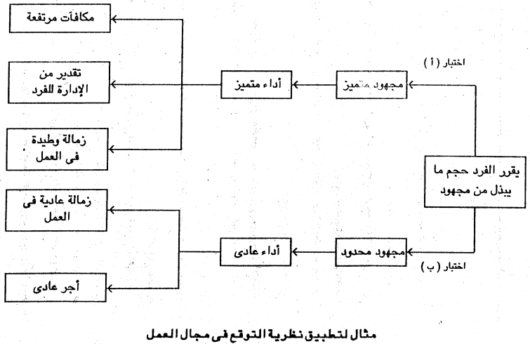 نظرية التوقع: ماهي، عناصرها، كيفية تطبيقها، الإنتقادات
