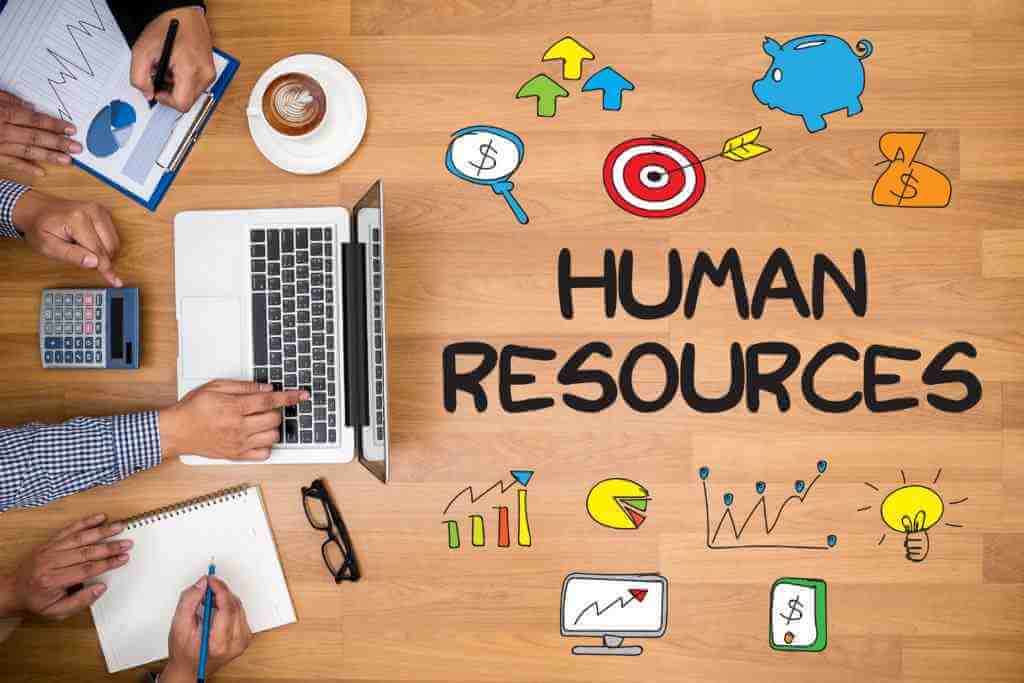 أقسام الموارد البشرية - 8 أقسام لإدارة الموارد البشرية