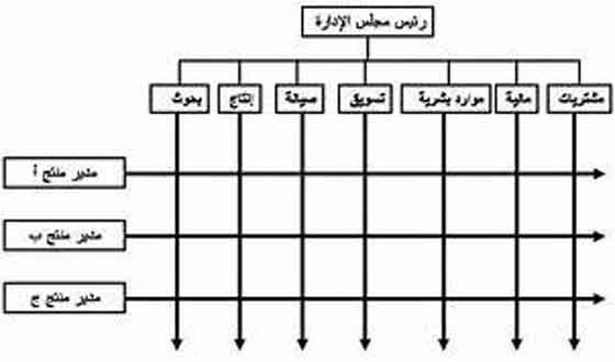 الهيكل التنظيمي: التعريف، الأهمية، الأنواع، مراحل إعداده